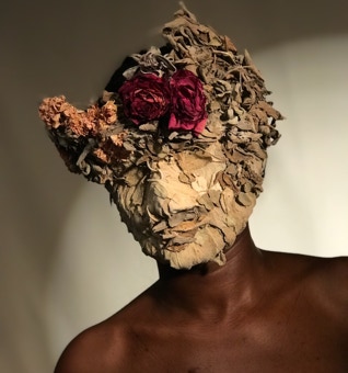 Masque végétal de la Série Salvia immortalis - 2018