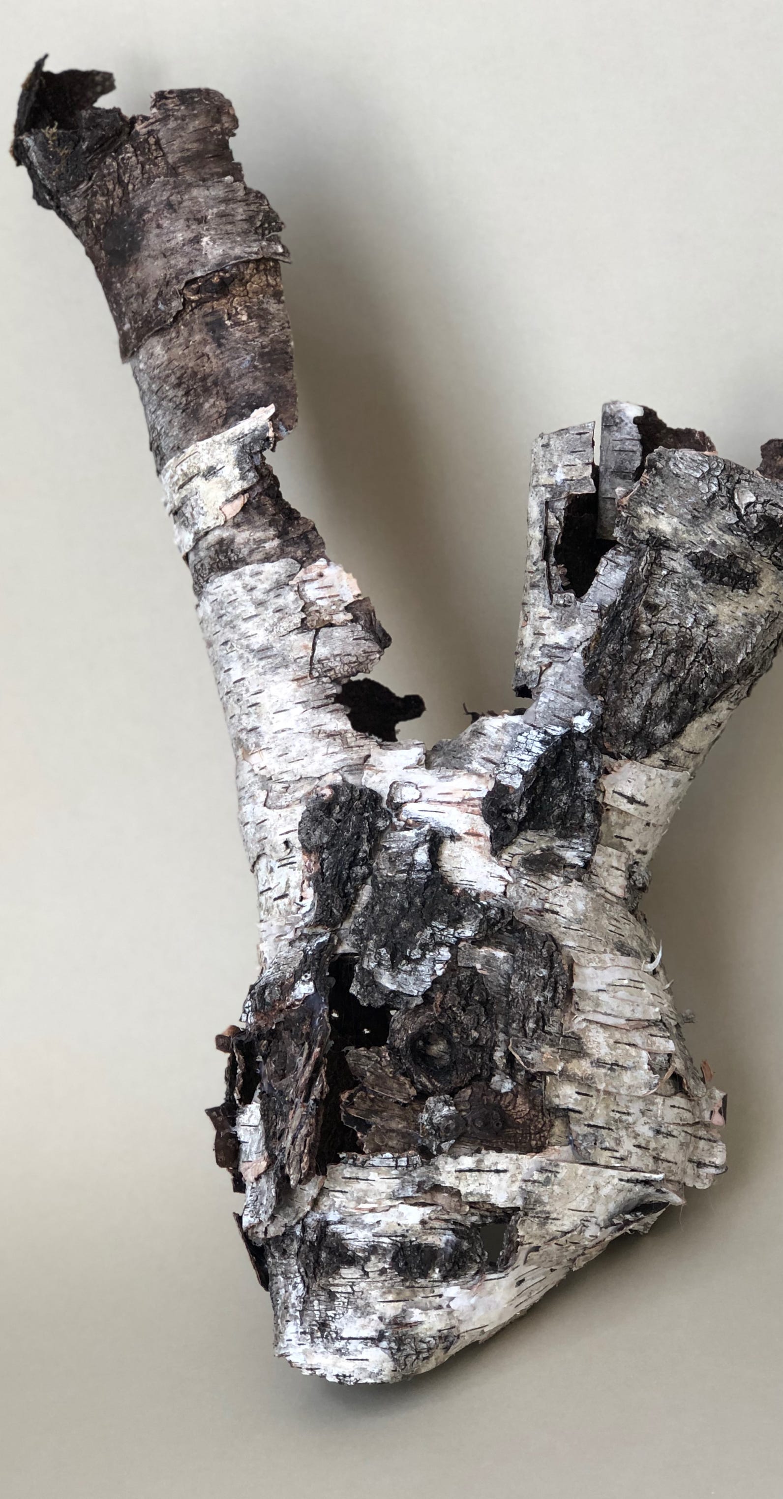 Masque Siberian N° 1- 2019 Sculpture de Philippe-H. Claudel