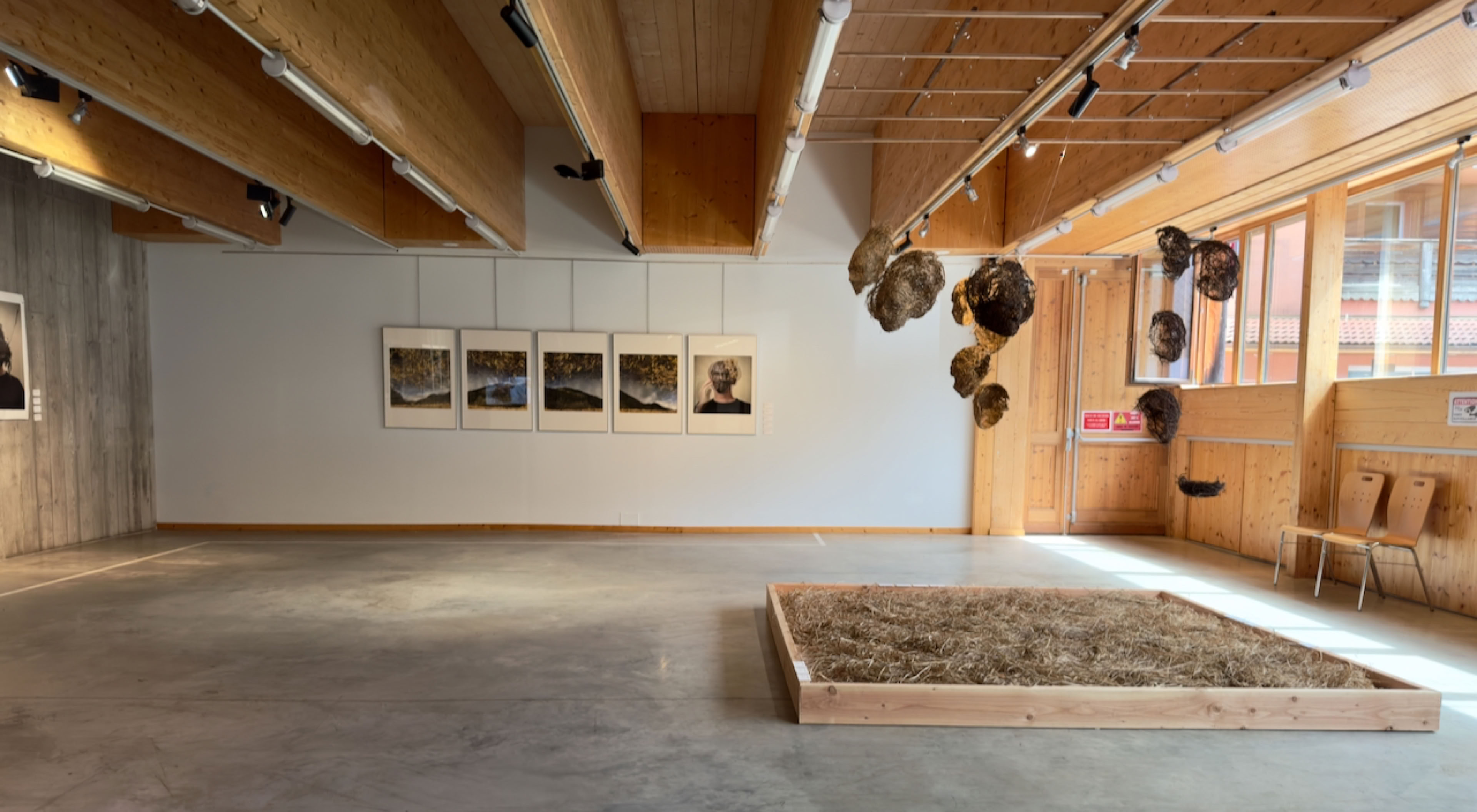 Exposition Face au paysage- La Bresse 2026-Vue générale de la salle