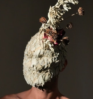 Masque végétal de la Série Salvia immortalis - 2018