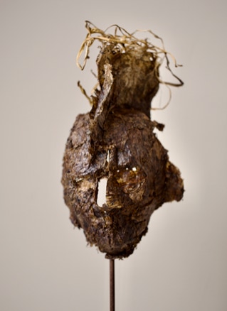 La tyrannie du temps N° 1 2024 Feuilles d’hostas.