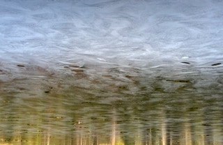 Paysage désorienté de la série Disparitions