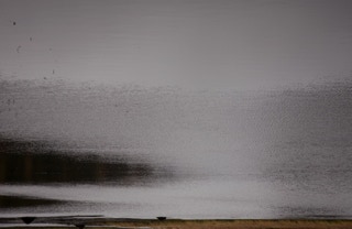 Paysage désorienté de la série Disparitions