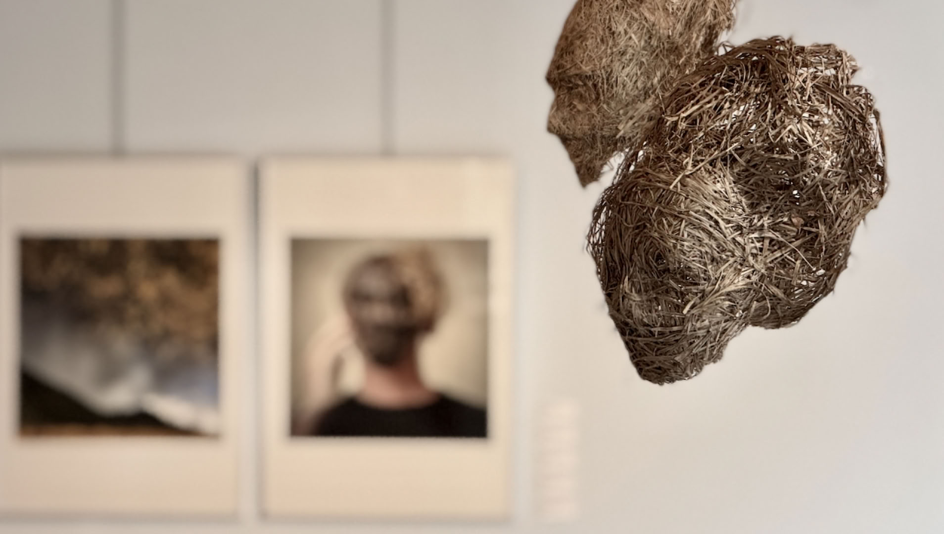 Exposition Face au paysage- La Bresse 2026-les laiches couronnées- Daétail