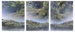 Diffraction-Photographie de Philippe-H. Claudel