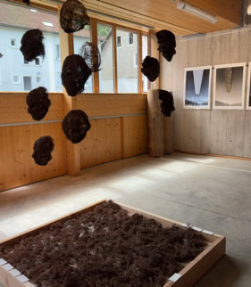Masque-Mue | Salix Alba -Racines Exposition La Bresse 2026