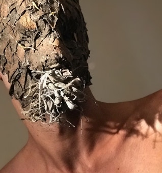 Masque végétal de la Série Salvia immortalis - 2018