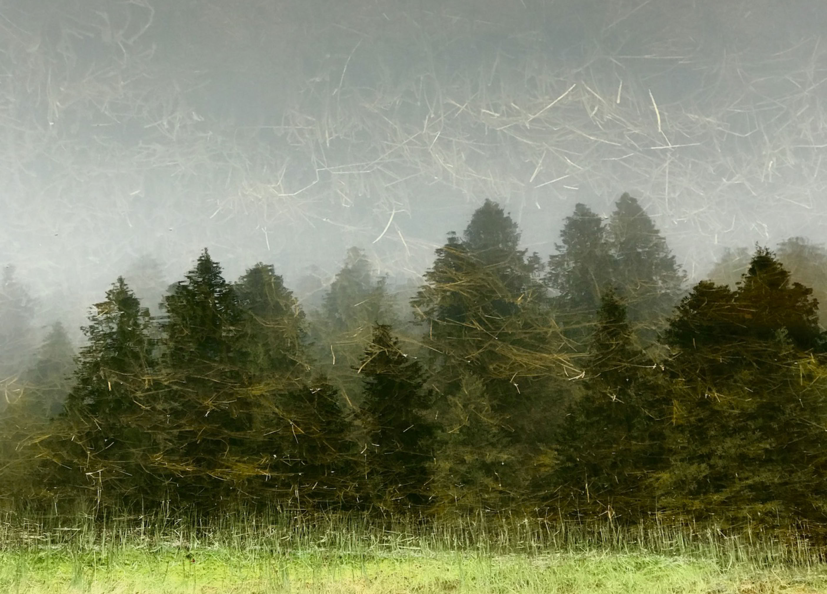 Paysage désorienté de la série Les picturales.