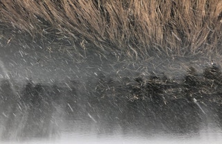 Paysage désorienté de la série Disparitions